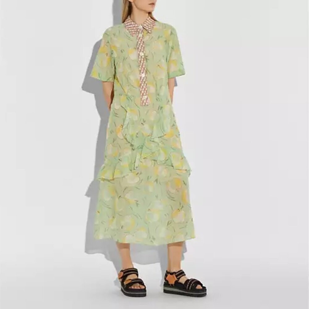 Coach 1941 Apple Print Cotton Cupro Ruffle Shirt Dress Sage Size 0
